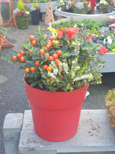 Load image into Gallery viewer, Plastic Container- Small