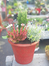 Load image into Gallery viewer, Plastic Container- Small