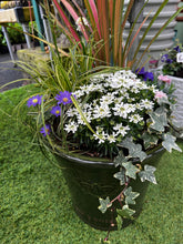 Load image into Gallery viewer, Ceramic Pot- Large
