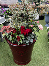 Load image into Gallery viewer, Ceramic Pot- Large
