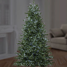 Load image into Gallery viewer, 1000 Premier LED TreeBrights Christmas Tree Lights - White (C27)
